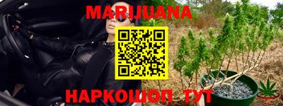 ГАЛЛЮЦИНОГЕННЫЕ ГРИБЫ Ачхой-Мартан