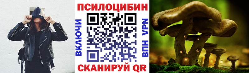KRAKEN зеркало  Старая Купавна  Галлюциногенные грибы мухоморы 