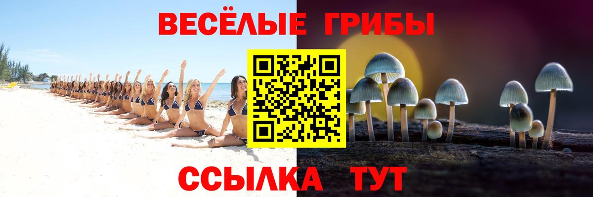 Старая Купавна  Псилоцибиновые грибы Psilocybe  Галлюциногенные грибы ЛСД  Вход с VPN 